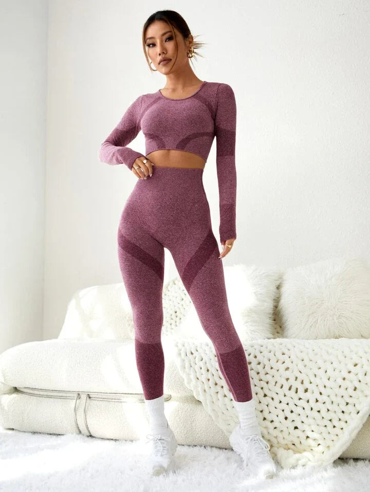 2pcs Seamless Gym Suit Yoga Set Thumbhole Tee & Tummy Control Legging